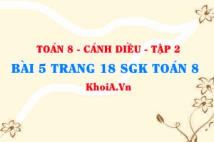 Bài 5 trang 18 Toán 8 Cánh Diều Tập 2